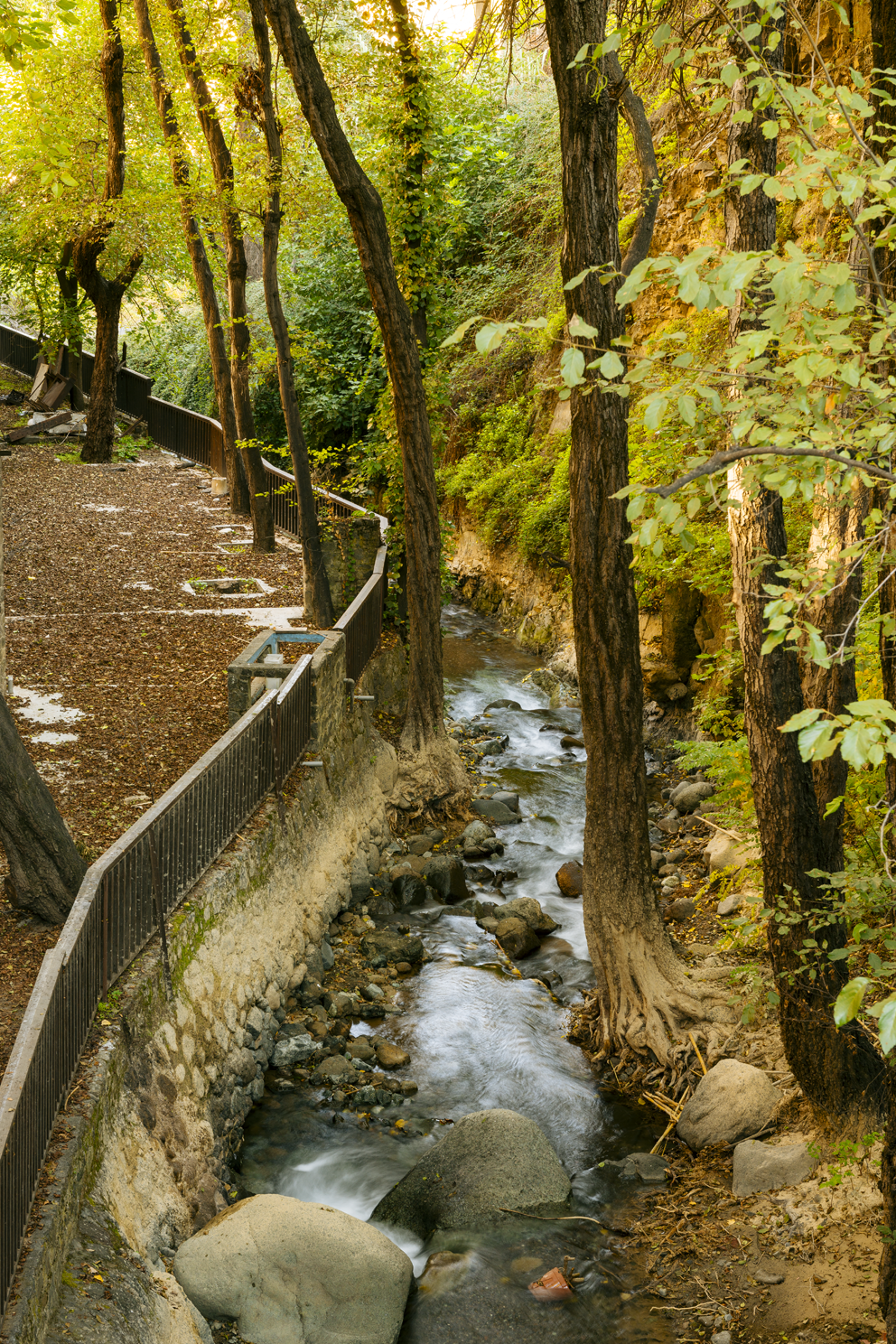 Οικογενειακές αναμνήσεις