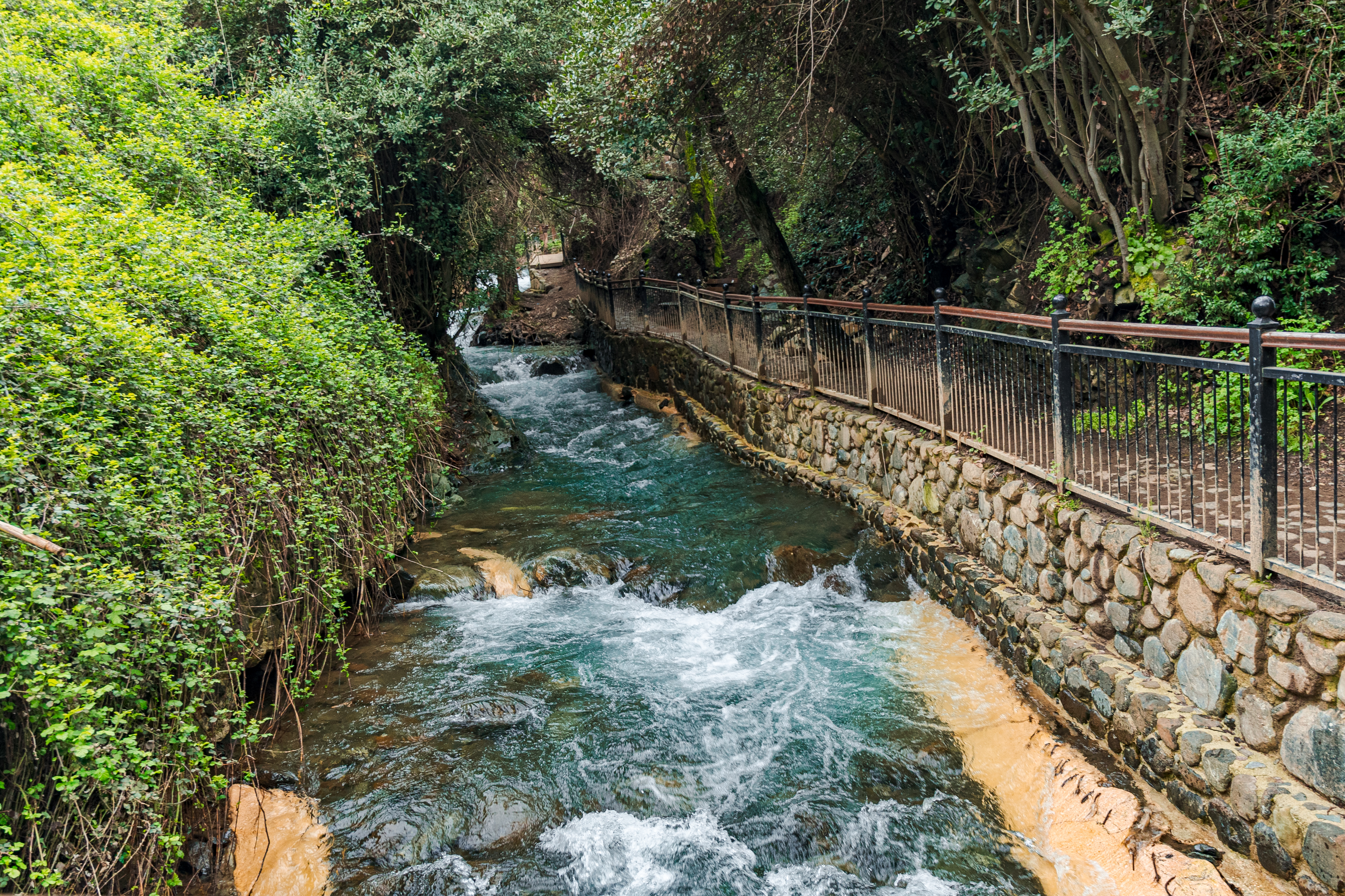 Οικογενειακές αναμνήσεις