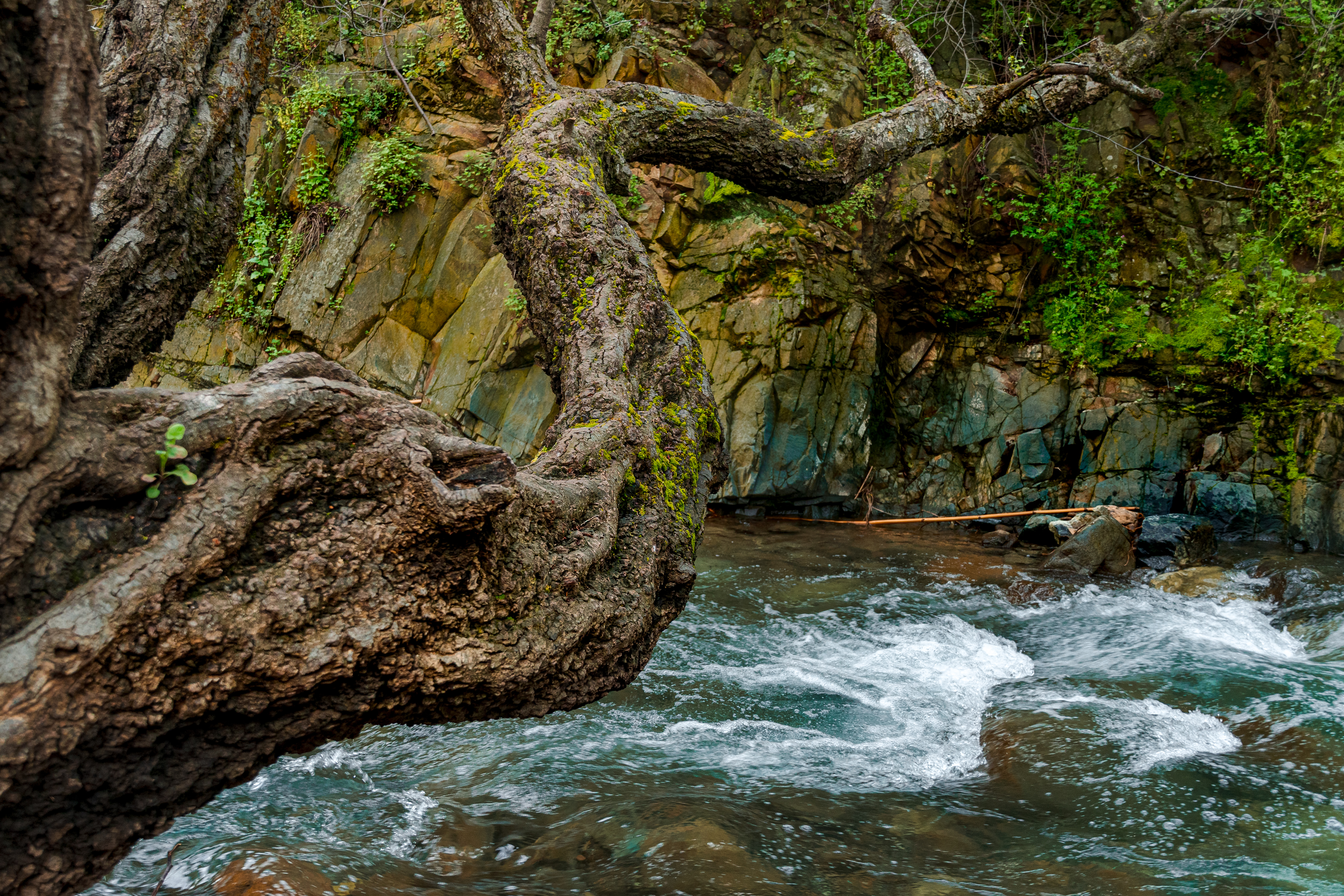 Οικογενειακές αναμνήσεις